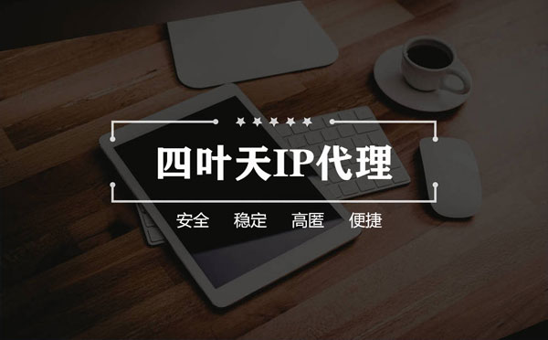 【莱州代理IP】如何快速搭建代理IP？怎么检查代理的效果？