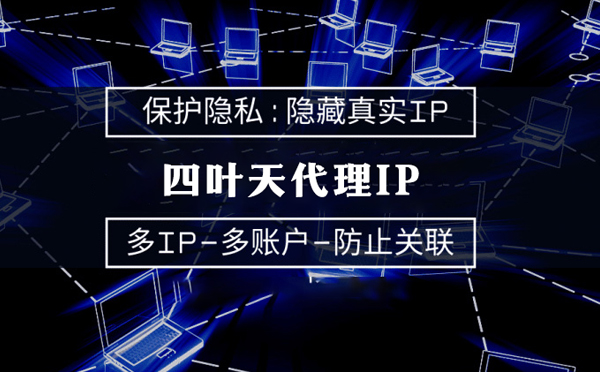 【莱州代理IP】代理服务器的类型有哪些？四叶天代理IP怎么样